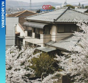 Arinya Group Hyakunichi Japan - Vietnam