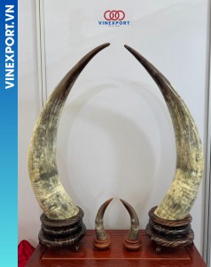 Crafting of horn products by Vietnamese Company